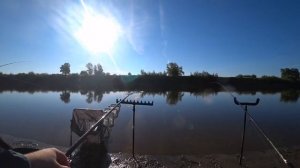 Рыбалка с нарезкой на судака. Фидерная рыбалка на хищника