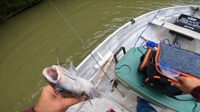 Berkley Gulp minnow fishing in my new boat. смотреть онлайн