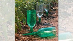 Полезные самоделки и поделки для дачи своими руками. Идеи для огорода