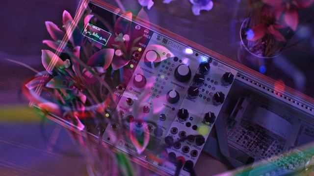 // Ambient Eurorack Jam \\ (o_C, Plaits, Clouds) смотреть онлайн