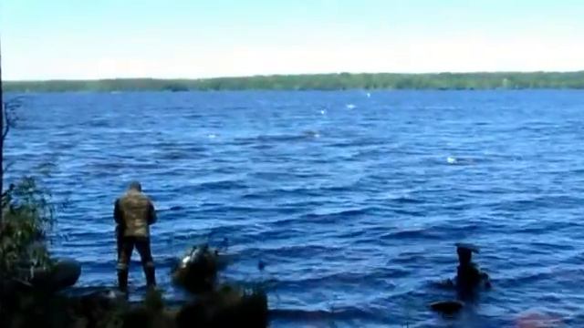 Как рыбаки подкармливают чаек на озере Волго смотреть онлайн