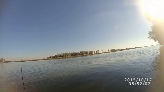 Ловля жереха на Нижней Волге смотреть онлайн