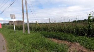 Прогулка по Хоккайдо, Япония. точка на Хоккайдо. ORANGE ua