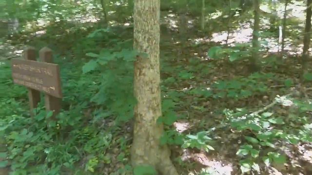 McDowell Nature Preserve, Charlotte, NC. Прогулка. смотреть онлайн