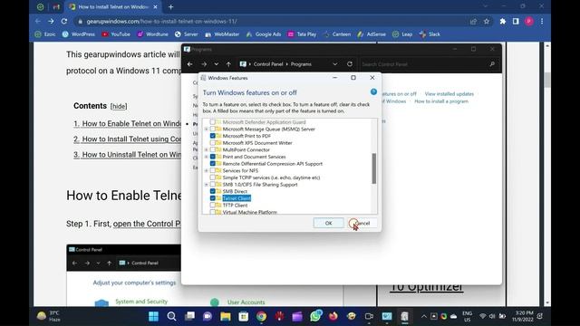 How to Install Telnet on Windows 11 (2 Methods)? смотреть онлайн