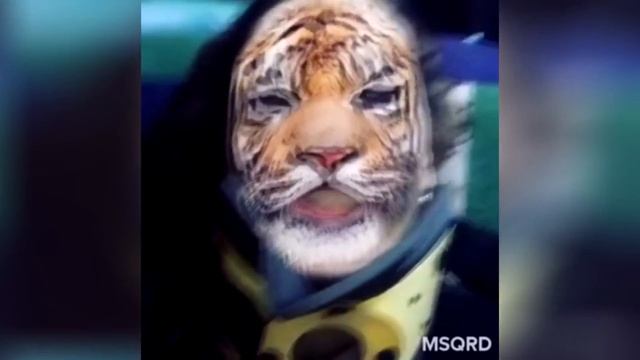 ПОДБОРКА ВИДЕО ИЗ ИНСТАГРАМА \ ИРИНА ГОРБАЧЕВА ВИДЕО\ АПРЕЛЬ 2016 смотреть онлайн
