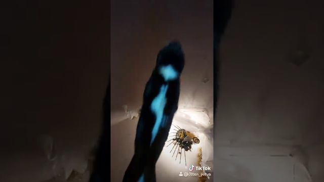 Прыжок пантеры смотреть онлайн