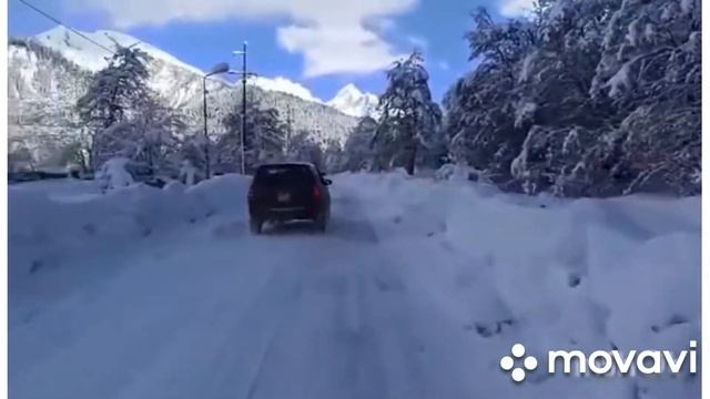 FORESTER TEAM GEORGIA смотреть онлайн