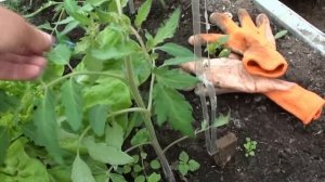 5 причин использования ПЭТ-цепочек в теплице!!!