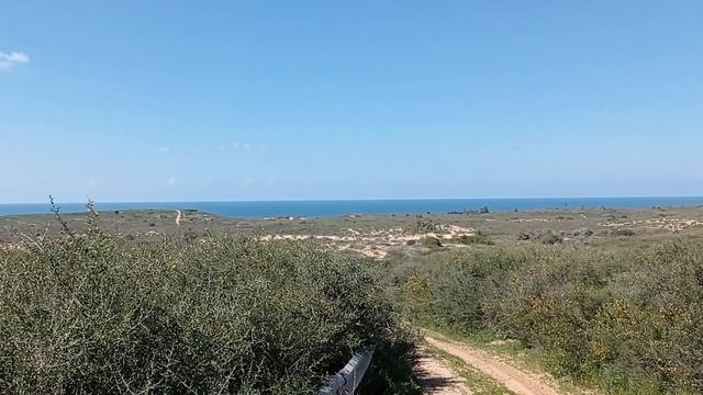 Израиль. Ашкелон и его окрестности. Дневник выходного дня, прогулка в пустыне. смотреть онлайн