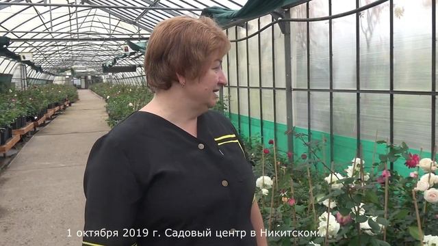Садовый центр в Никитском 1 октября 2019г. смотреть онлайн