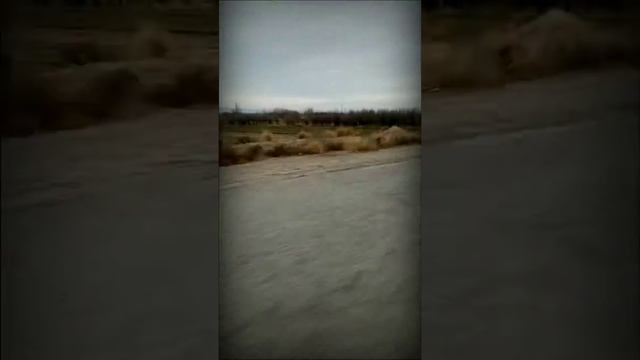 ШЕР БАЧОИ СВЕРДЛОВ смотреть онлайн