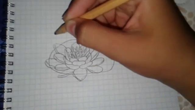 Лотос.Как нарисовать лотоса смотреть онлайн