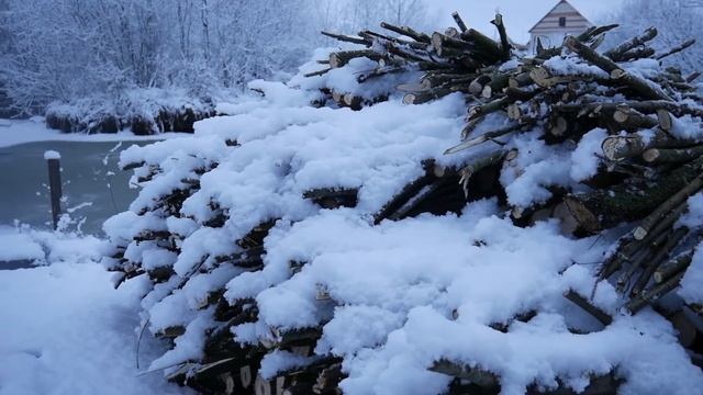 Икона БОЖИЕЙ МАТЕРИ "Державная" поможет обрести семью, исцеляет от злобы. смотреть онлайн