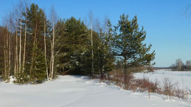 Зимний вид приРОДы, но уже скоро придёт кРАсота Весны смотреть онлайн
