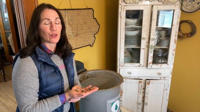 How To Plant Ranunculus | PepperHarrow Farm смотреть онлайн