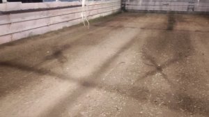 вспышка грунта в теплице , внесение куриного помёта в грунт , подготовка теплицы к высадки рассады.