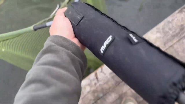 Ловля карпа осенью🍂 смотреть онлайн