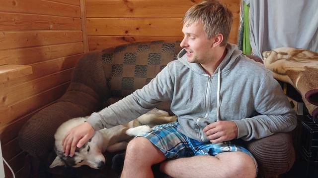 Husky Vlog ? История одной хаски. Благородная леди Айсан. смотреть онлайн