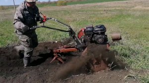 Картофель под соху мотоблок ока 2022г.