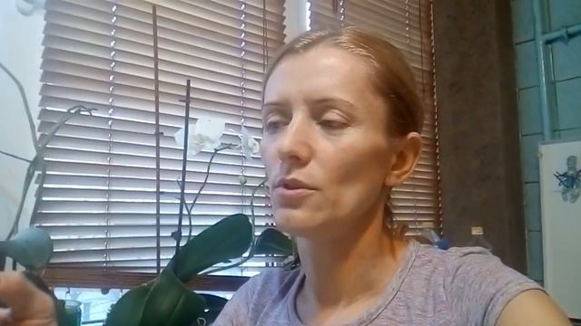 VLOG Подарки от Святого Николая и Письмо от деда Мороза! смотреть онлайн