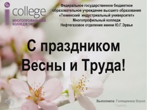 Голещихина Мария НРт-22-(9)-3