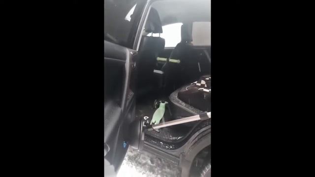 Проверка автомобиля на жучки смотреть онлайн