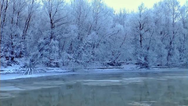 Как Сидит Ефремов?Один день в ИК с Ефремовым!Дело Михаила Ефремова! смотреть онлайн