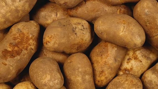Почему картофель зеленеет после того, как её выкопали и вредно ли это? смотреть онлайн