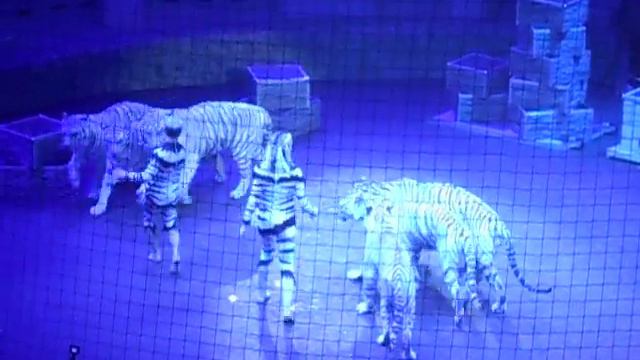 ЦИРК-НТ. ПАСХА 24.04.2022 - 6 смотреть онлайн