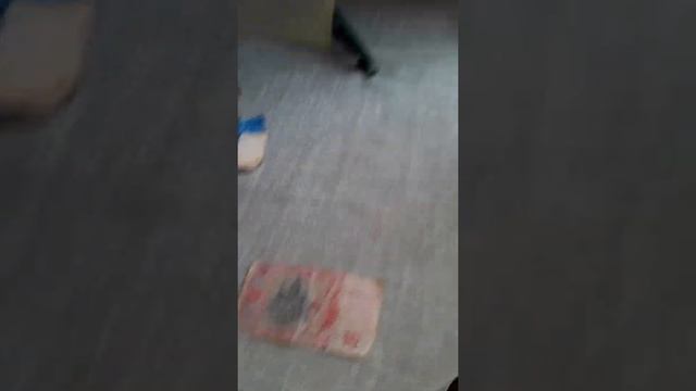 Зелёный проект. Игрушки:как дать вторую жизнь старым игрушкам? смотреть онлайн