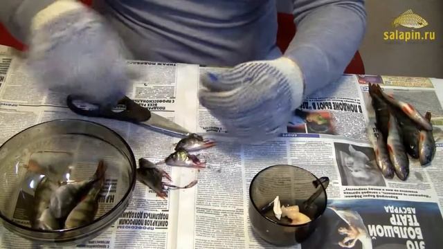 Быстрая чистка мелкого окуня на уху и икру смотреть онлайн