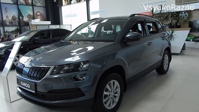 Skoda Karoq 6DSG 4x4 Active допов стоит на 256 000 ₽ кто поставил , зачем , почему , обзор смотреть онлайн