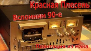 Вспомним 90-е Красная плесень - плантация из мака