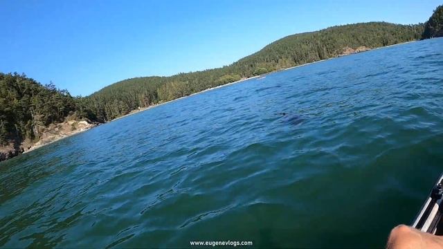 Болтология на Каяках Рыбалка и Крабы в Океане 2021 смотреть онлайн