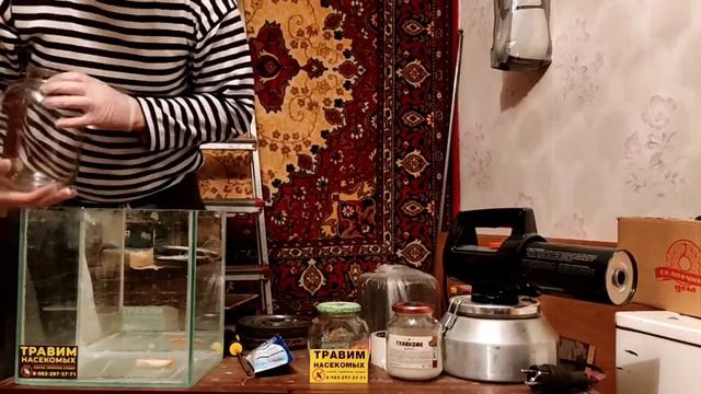 Мелок от тараканов ( Чистый дом)#СанконтрольКрасноярск. смотреть онлайн