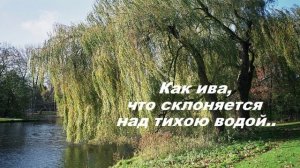 Как ива, что склоняется над тихою водой..