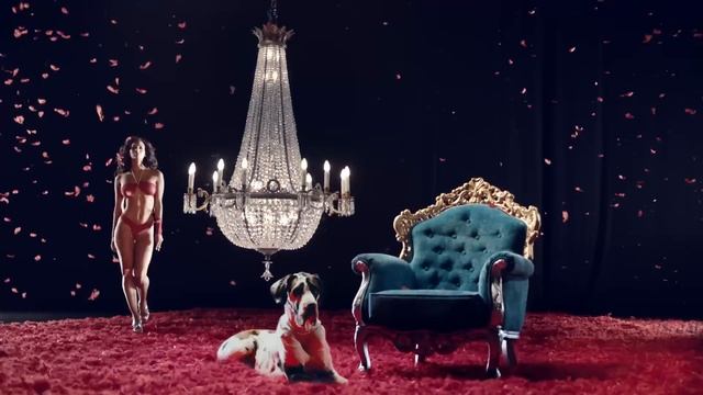 The Bracli Girls смотреть онлайн