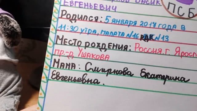 Свидетельство о рождении для Басика! смотреть онлайн