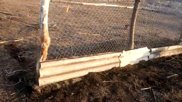 №88.НУ ПОЕХАЛИ////КОРОЧЕ ГОВОРЯ ПРИШЛА ВЕСНА///.