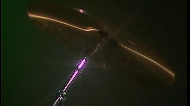 Fox The Fox - Precious Little Diamond