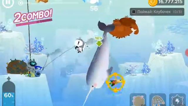 Гигантский нарвал!