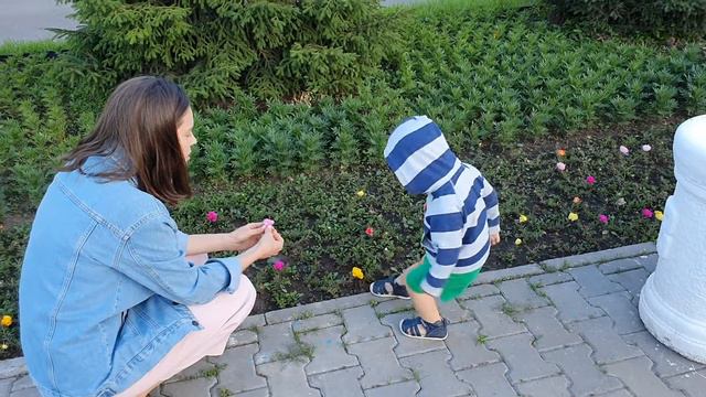 Гуляем возле мечети смотреть онлайн