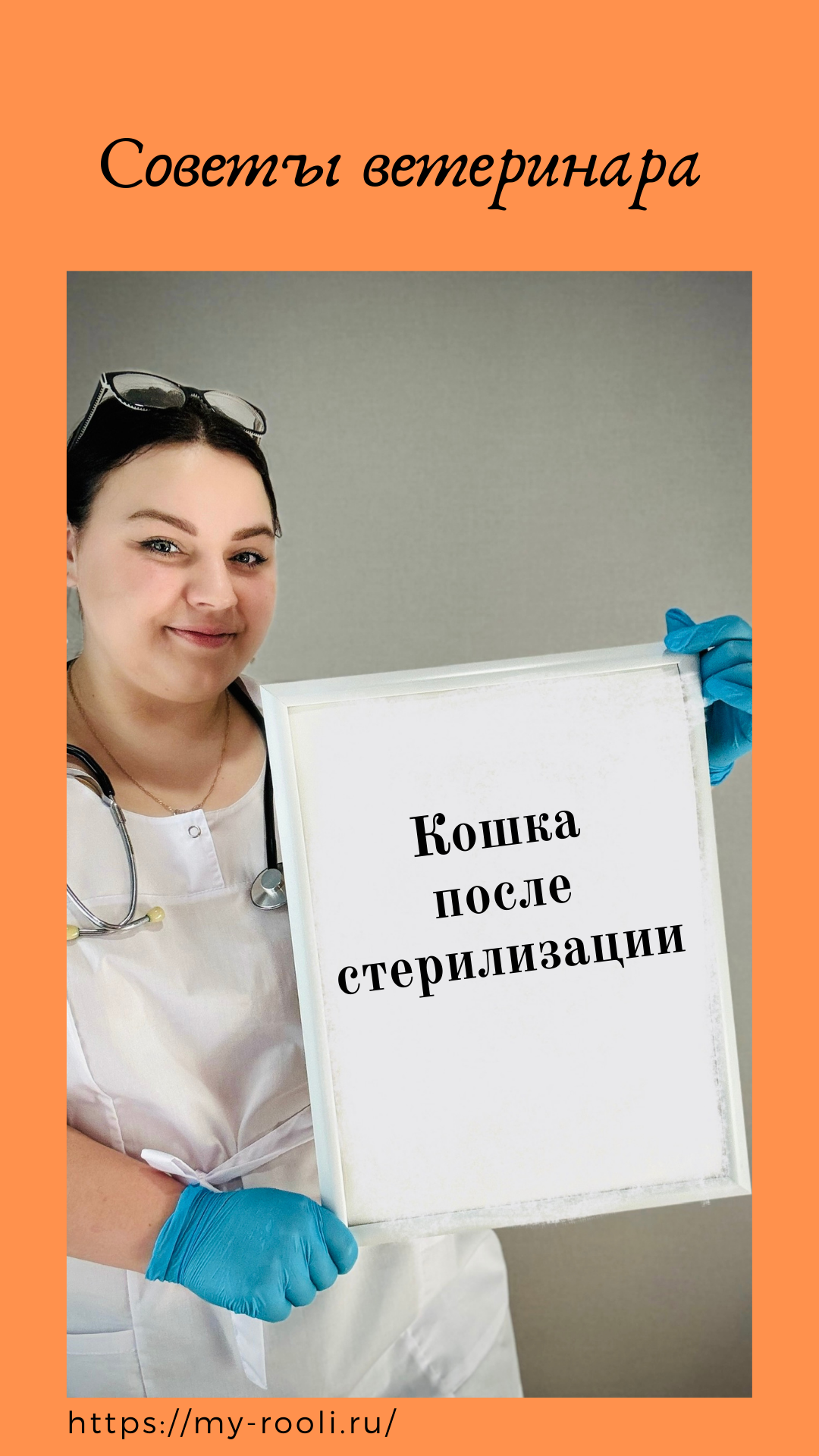Кошка после стерилизации. Все об уходе и заботе после операции. смотреть онлайн
