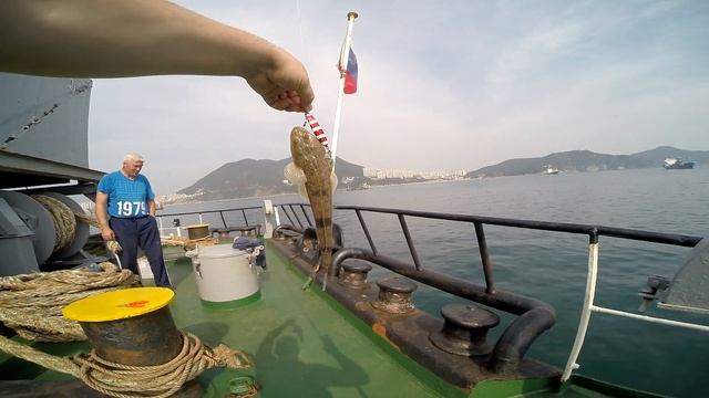 Рыбалка в Корее! Fishing in Korea! Макрель, скумбрия! смотреть онлайн