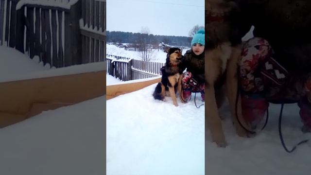 История про мою собаку муху смотреть онлайн