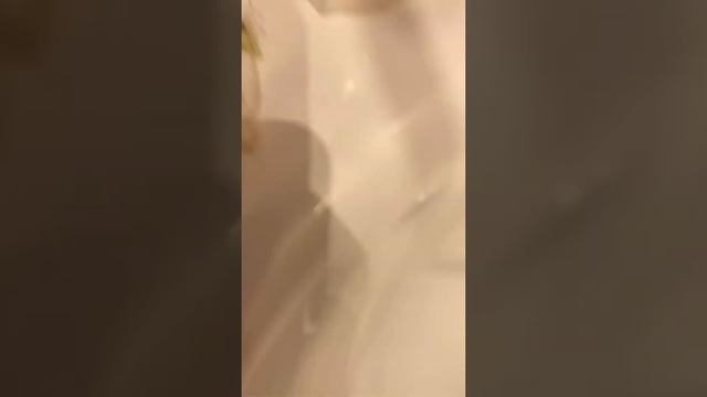 Как из дыни колхозницы вырастить дыню смотреть онлайн