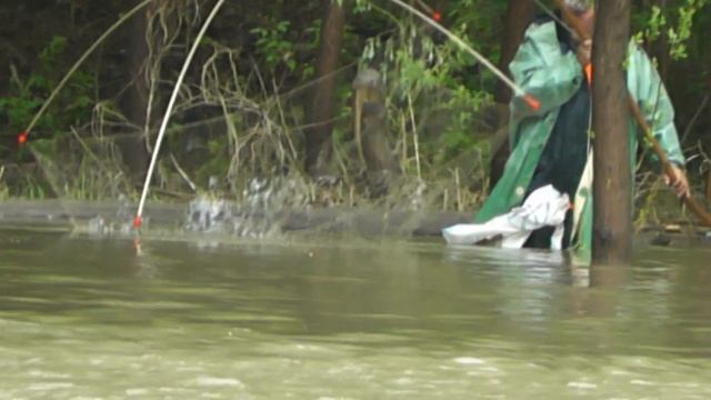 Рыбалка на паук, как ловят на экран паук, как забрасывать #ru_kompass #рыбалка