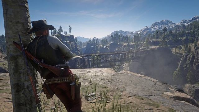 Red Dead Redemption 2 Lively Wallpaper смотреть онлайн