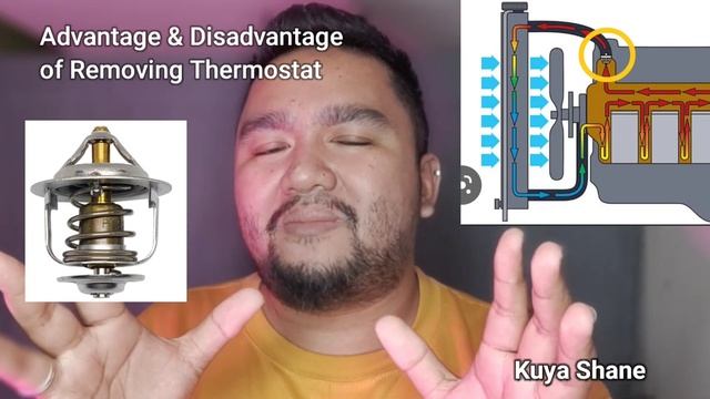 Advantage & Disadvantage Of Removing Thermostat